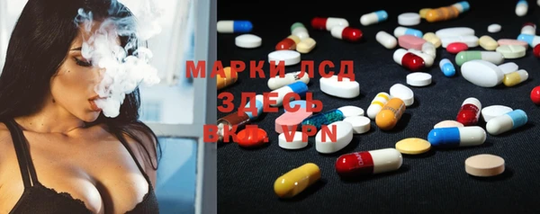 ГАЛЛЮЦИНОГЕННЫЕ ГРИБЫ Магас