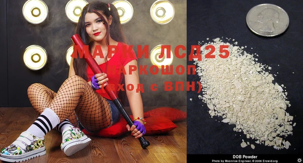 ГАЛЛЮЦИНОГЕННЫЕ ГРИБЫ Магас
