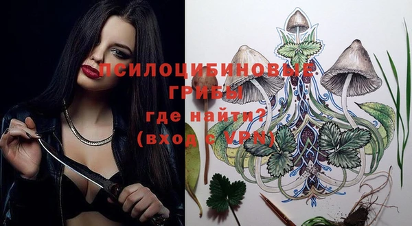 ГАЛЛЮЦИНОГЕННЫЕ ГРИБЫ Магас