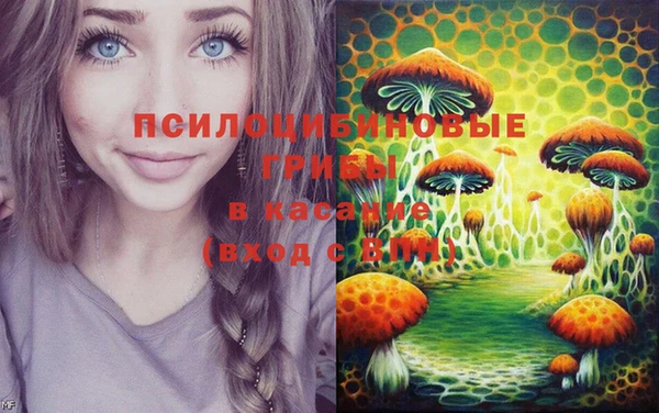 ECSTASY Майский