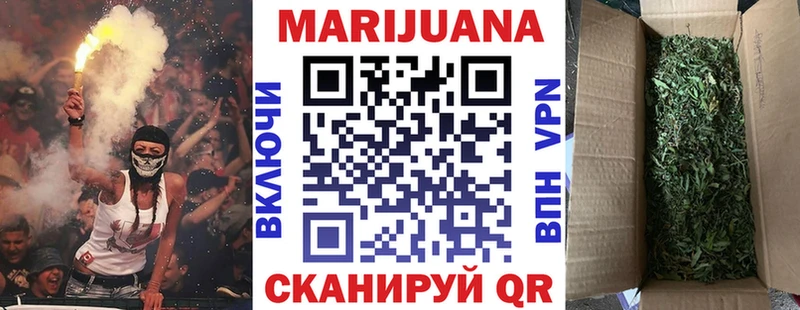 закладка  Рудня  Конопля гибрид 